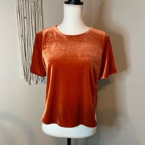 Madewell crush velvet top